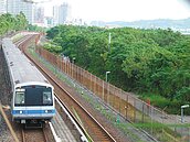 「距紅樹林僅1公分」　淡北道路環評遭撤