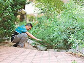 三民高中殘破　教局會勘允修繕