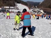 日本滑雪死亡意外頻傳　新手、老鳥要注意什麼？