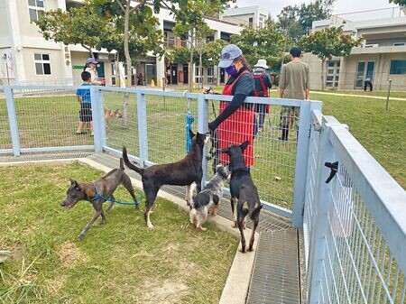 桃園市動保處日前公布，急難救助動物不再直接進入動保園區收容，新規引起動保志工疑義，認為應公布詳細流程。動保處表示，已發布作業規範，讓外界更清楚急難救助規定。（本報資料照片）