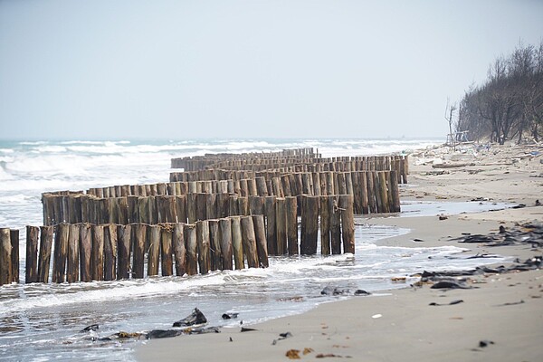 台江國家公園管理處在網仔寮汕設置防浪柵,以生態工法減緩沙洲遭沖蝕速度。圖/台江國家公園管理處提供