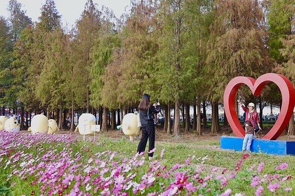 台南六甲落羽松天冷轉紅。圖/台南市政府提供