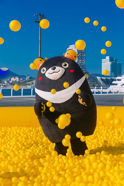 「港市合作」高雄港16-18號碼頭開放。圖/高雄市政府提供