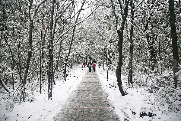 2016年1月寒流影響陽明山降雪。圖／維基百科