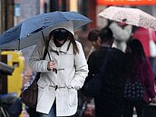 寒流繼續發威　賈新興：今晚到明晨最冷　下探6度以下