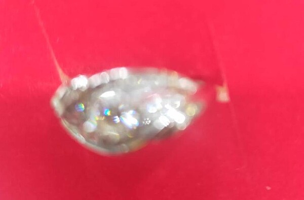 有民眾的裸鑽不慎掉入馬桶,只好找來清潔隊將水肥抽空,再用強光照,拿小魚網撈起。圖/環保局提供