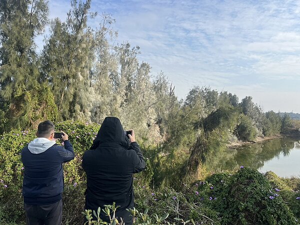 金門連日來出現低溫,陽明湖畔與慈湖許多樹木白了頭,遠遠望去以為金門也下雪,還有遊客搶著拍照留念。記者蔡家蓁/攝影