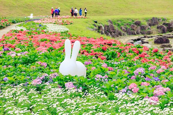 內湖賞花秘境「大溝溪生態治水園區」萬盆繡球花陸續盛開中,加上可愛的兔兔造景。圖/台北市水利處提供