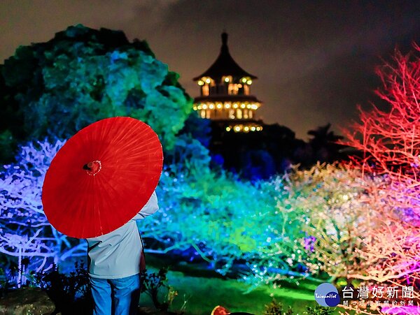 年節走春賞櫻 淡水天元宮三色櫻粉嫩登場