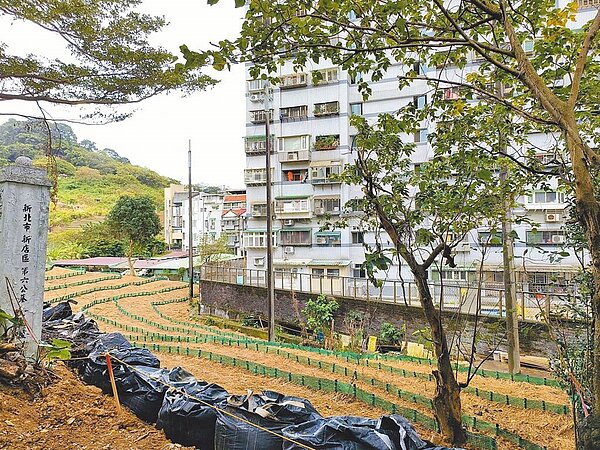 占地3.6公頃的新店第六公墓鄰近住宅區,因妨礙都市發展及其他公共利益,2022年5月起公告遷葬,現正辦理墳墓遷葬及水土保持植生工程,遷葬範圍約1.15公頃,遷葬墳墓約810座。(新店永安里辦公處提供/高鈞麟新北傳真)