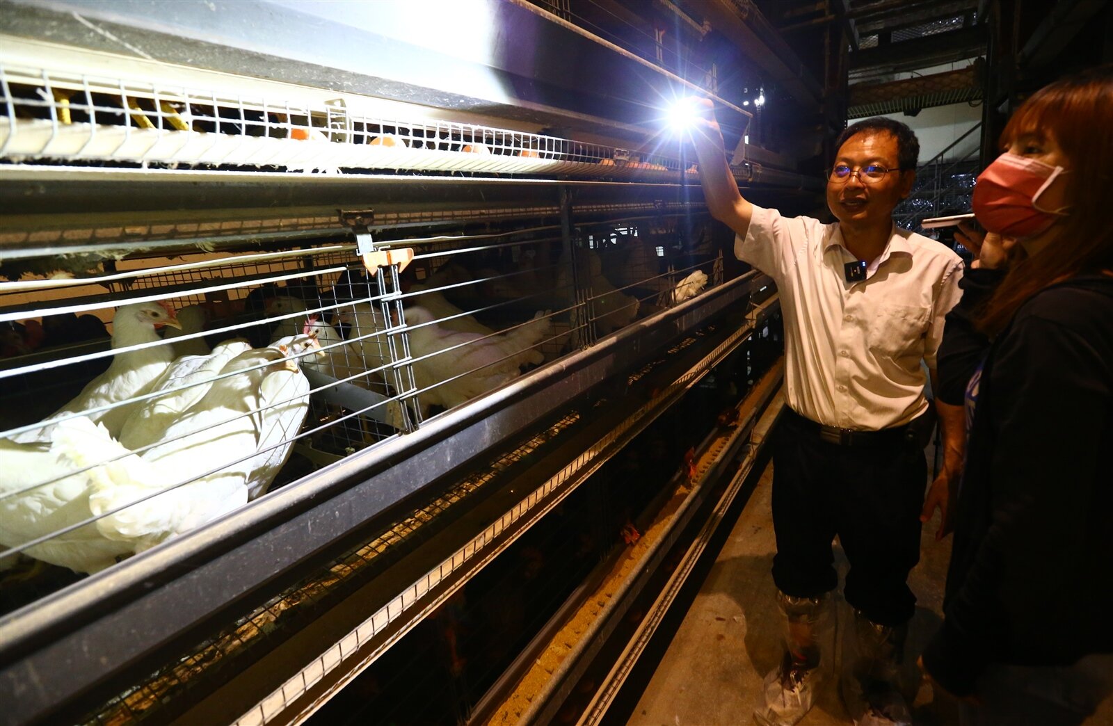 感染症醫學會秘書長、新光醫院感染科主任黃建賢表示,目前僅有一個個案H10N5,不需要過度緊張,但若是沒有早期隔絕會變成一場災難。禽流感示意圖。本報資料照片