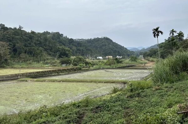 埔里農莊規畫在埔里鎮一新里開發8.7公頃土地，興建600人商業旅館，遭里民反對。圖／民眾提供

