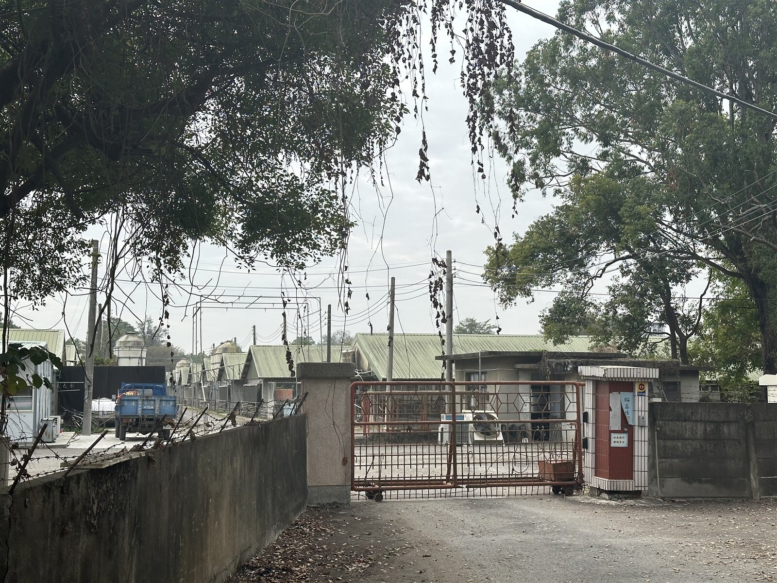 嘉縣水上鄉南靖農場社區內的南靖畜殖場飼養的豬隻,加工製成冷凍豬肉,被檢驗出有瘦肉精,今天蓄殖場大門深鎖。記者呂慧瑜/攝影