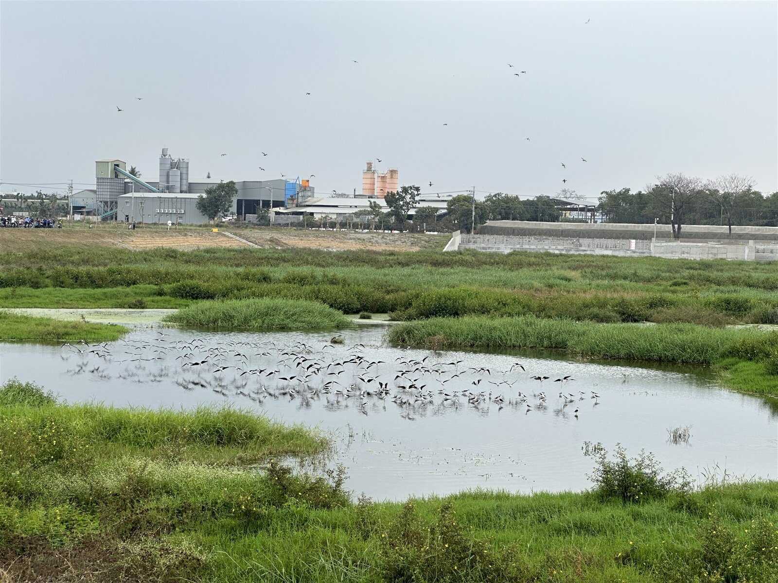 擺脫淹水惡夢,屏東縣府針對武洛溪大仁支線排水治理工程歷時9年,還打造滯洪池公園,今天完工啟用,聚集許多鳥類生態,盼成為鹽埔鄉後花園。記者劉星君/攝影
