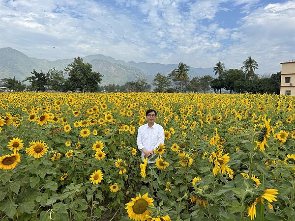 2024美濃花海以「美濃冬遊記」為主題,打造4大區域花海。圖/高雄市政府提供