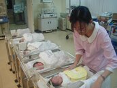 搶生龍寶寶！試管補助免擔心生出雙胞胎　單胞胎率達88％