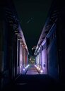 宜蘭中興文創園區燈飾浪漫繽紛　年節期間網美熱拍景點