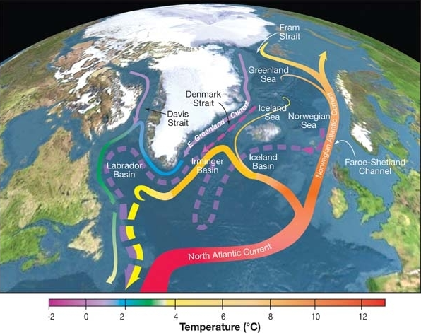大西洋經線翻轉環流的一部分。圖／維基百科大西洋經向翻轉環流