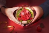 情人節「掌心玫瑰」甜蜜綻放！盤點可速達的浪漫好禮