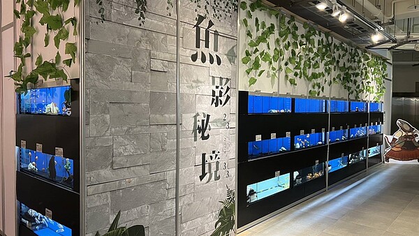 屏東物產館的「魚影秘境」採用暗房方式展示，結合沉浸式光影設備，以多媒體光影設備打造出聲光效果並進的魚群游動畫面，遊客彷彿置身海底世界。圖／屏東縣政府提供