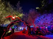 「台中龍賀」中央公園導覽APP上線　聰明暢玩元宵燈會