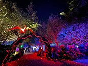 「台中龍賀」中央公園導覽APP上線　聰明暢玩元宵燈會