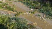 泰山大窠坑溪優化　打造1.2公里親水綠廊