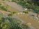 泰山大窠坑溪優化　打造1.2公里親水綠廊