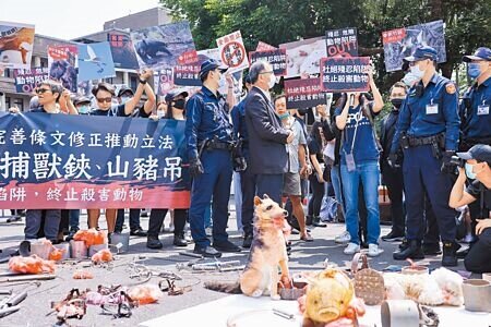 行政院15日拍板「野生動物保育法」部分條文修正草案，全面禁用獸鋏。圖為動物保護團體以山豬吊、捕獸鋏等金屬陷阱，訴求行政院修法終結金屬陷阱對動物造成的痛苦與傷亡。（本報資料照片）