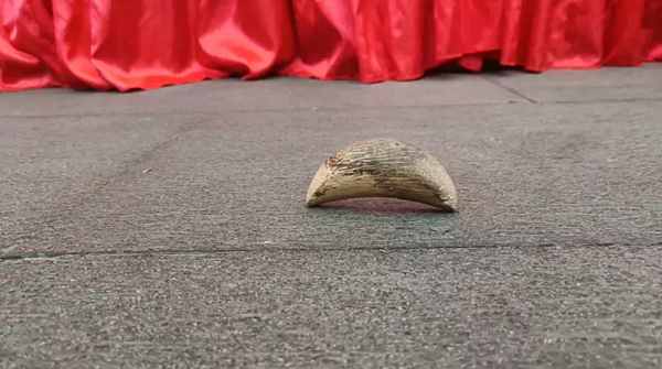 彰化縣北斗奠安宮信眾擲筊，筊杯立在石板地面。圖／民眾提供