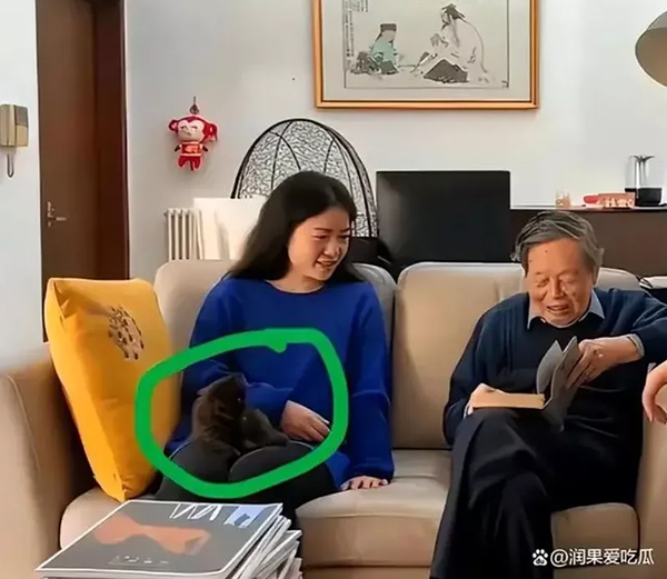 102歲的楊振寧（右）與妻子翁帆（左）已結婚20年，翁帆腿上坐著一隻貓。（取材自潤果愛吃瓜）