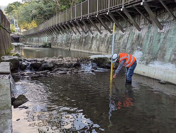 檢查人員涉水量測土城區石壁寮溝排水渠底破損尺寸。圖/新北市府提供