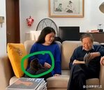 陸諾貝爾獎得主宅邸曝！與小54歲妻婚紗照吸睛　102歲楊振寧偕翁帆北京過年