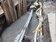 圖資太舊　板橋1年挖破水管300次