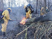 梨山森林大火　延燒11公頃