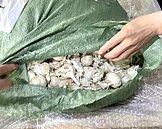 郵輪客運回溫！關務署提醒遊客忌買這些物品　恐商品沒入外加罰款