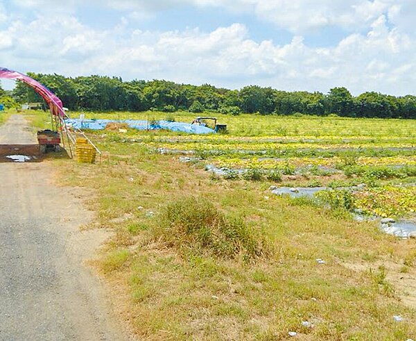 台南綠能產業園區開發範圍為64.64公頃,基地多屬台糖土地。(台南市政府提供/曹婷婷台南傳真)