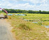 樹砍太多　台南綠能園區環評沒過