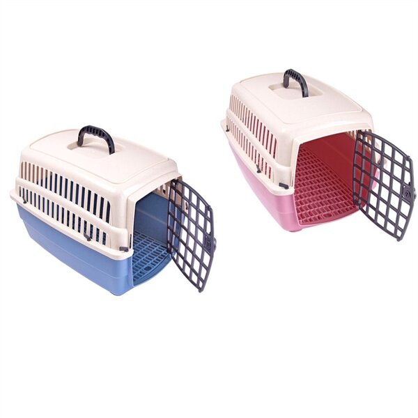 2月22日至2月底認養貓咪可獲贈硬殼式運輸籠一個。圖／動保處提供