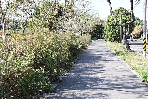 「糖鐵國家綠道-台南段(岸內-新營-烏樹林糖廠)」自行車道優化工程近日完工。圖/台南市交通局提供