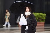 冷空氣接力報到！台北今晨一度冷氣團達標　關注下周五恐大幅降溫