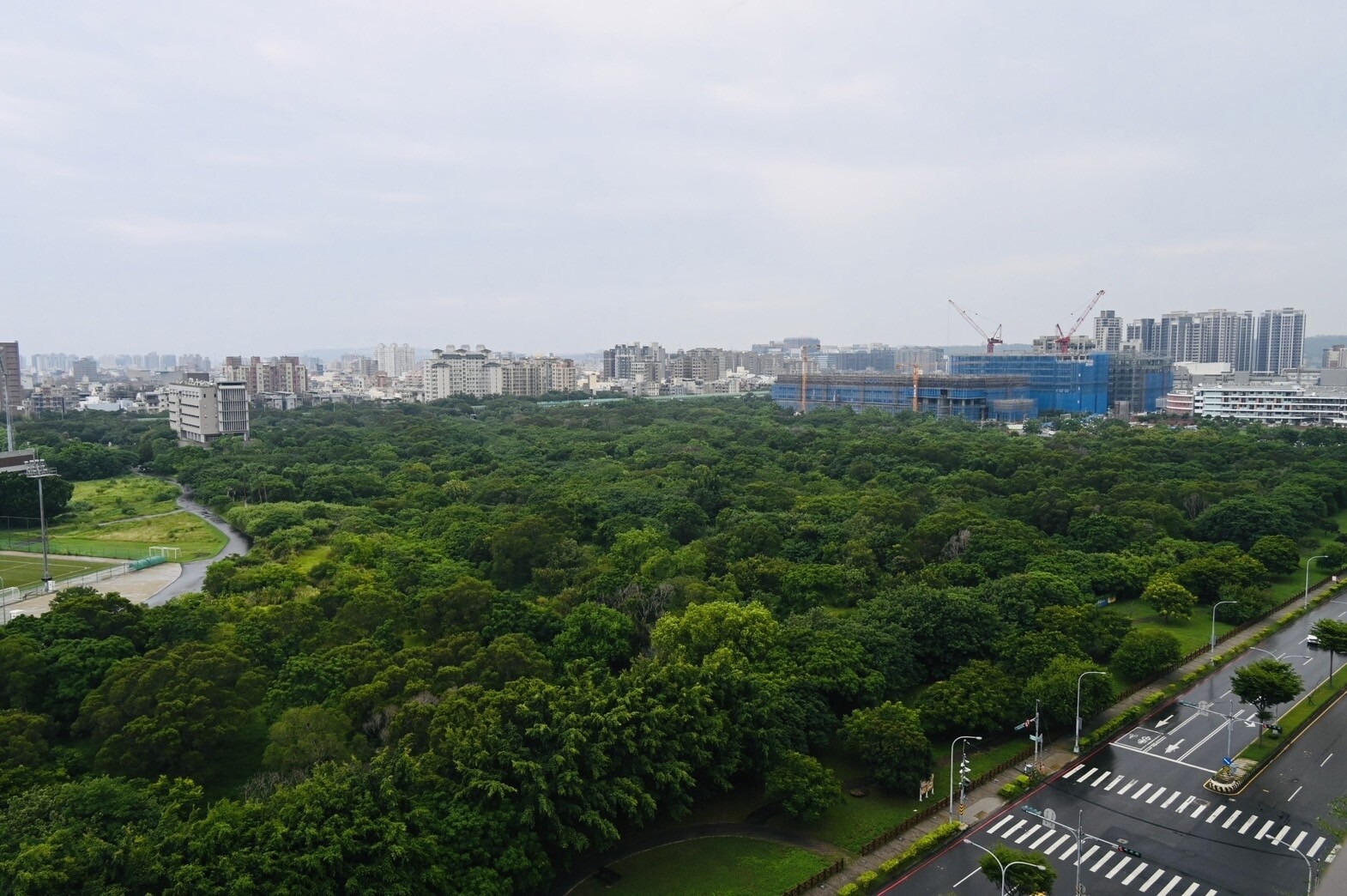 台大竹北分校二十年來沒有太多開發，保留很好的植物林相，從高樓往台大校地看，一片綠意盎然。記者郭政芬／攝影 