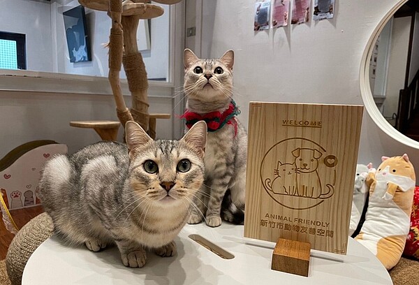 新竹市政府鼓勵更多店家加入寵物友善服務,目前已有30家店取得標章。圖/新竹市府提供