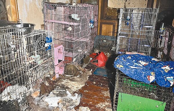 李姓女子在桃園市龍潭區租屋處飼養大量貓狗,桃園市動保處人員入內查看,竟發現20多具貓狗屍體,且全都變成乾屍,李女供稱這些貓狗全是餓死的。(桃市動保處提供/呂筱蟬桃園傳真)