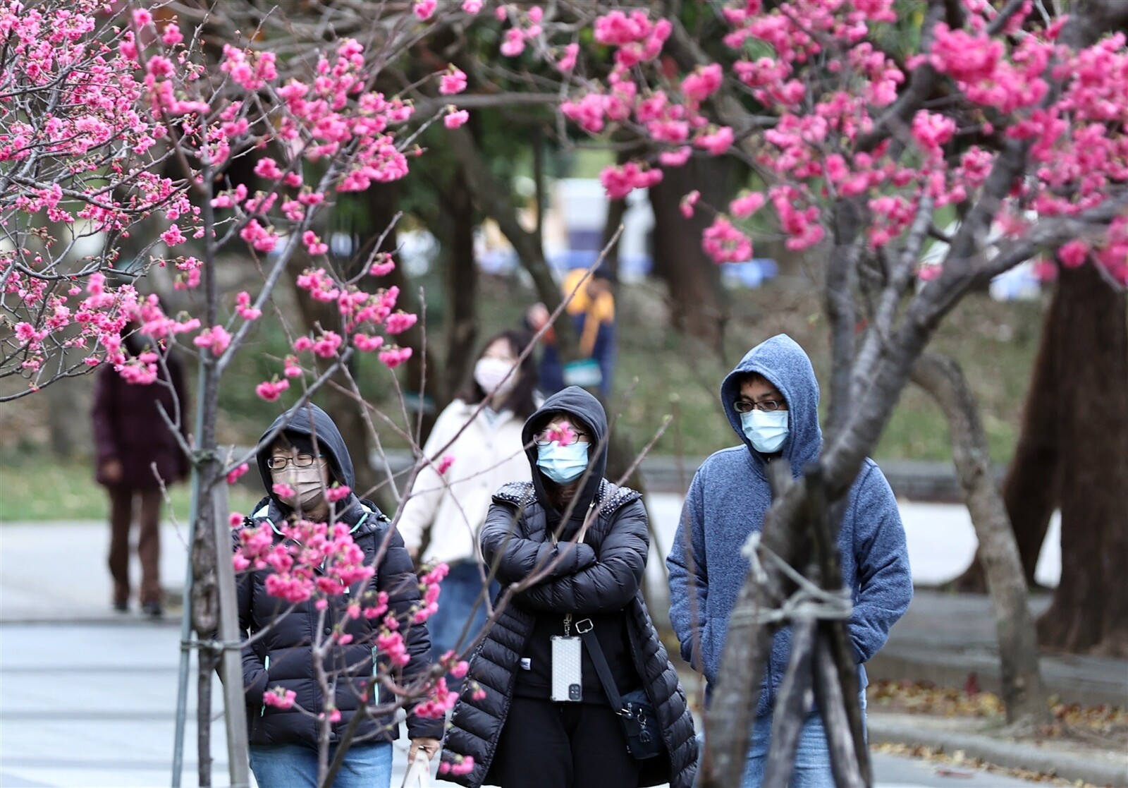 今明兩天回暖，各地高溫逾24度，但周五冷氣團又來，下探10度。聯合報系資料照片 