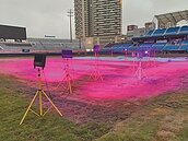 迎新球季　桃園棒球場優化完工7成