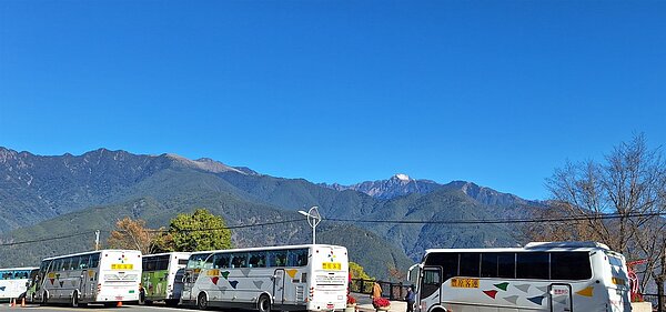 梨山端賞櫻專車待班。圖／台中市政府交通局提供