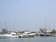 打造台南安平遊艇觀光城　碼頭泊位一位難求
