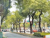 緊急車輛一路綠燈　北市建智慧號誌