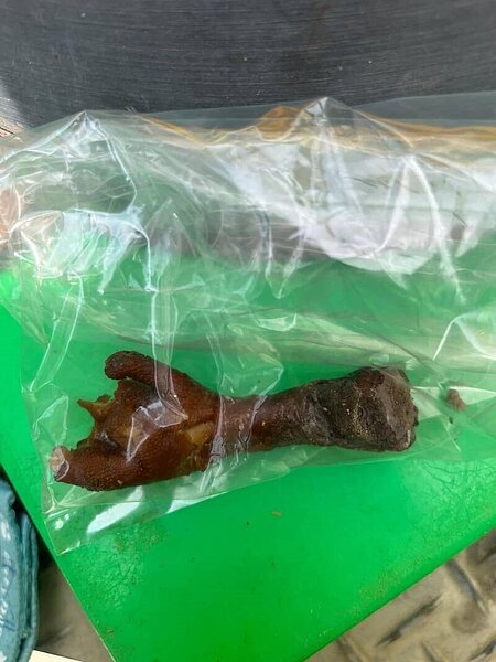 浪犬疑似遭人放置「毒雞腳」毒死。圖／農業處提供